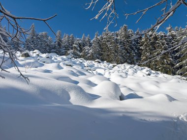 Bulgaristan 'ın Sofya Şehir Bölgesi, Vitosha Dağı' nın İnanılmaz Kış manzarası
