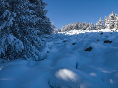 Bulgaristan 'ın Sofya Şehir Bölgesi, Vitosha Dağı' nın İnanılmaz Kış manzarası