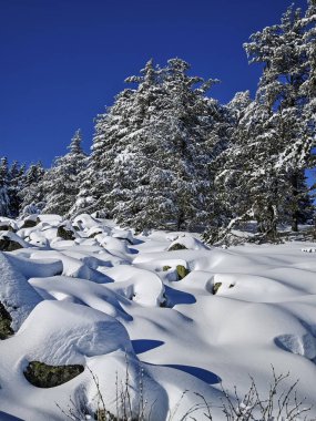 Bulgaristan 'ın Sofya Şehir Bölgesi, Vitosha Dağı' nın İnanılmaz Kış manzarası