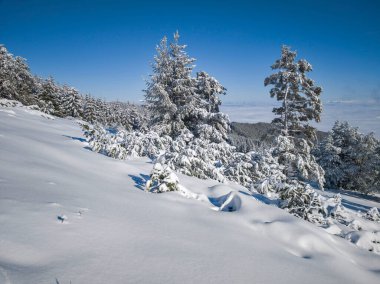 Bulgaristan 'ın Sofya Şehir Bölgesi, Vitosha Dağı' nın İnanılmaz Kış manzarası