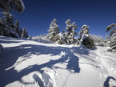 Bulgaristan 'ın Sofya Şehir Bölgesi, Vitosha Dağı' nın İnanılmaz Kış manzarası