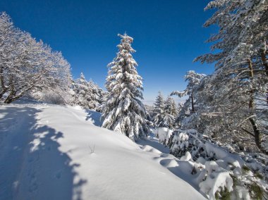 Bulgaristan 'ın Sofya Şehir Bölgesi, Vitosha Dağı' nın İnanılmaz Kış manzarası