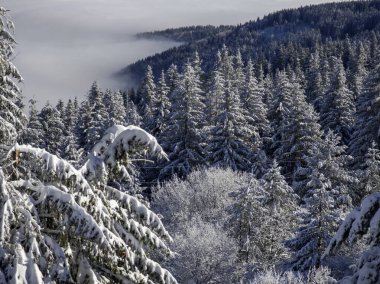 Bulgaristan 'ın Sofya Şehir Bölgesi, Vitosha Dağı' nın İnanılmaz Kış manzarası
