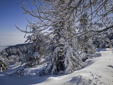 Bulgaristan 'ın Sofya Şehir Bölgesi, Vitosha Dağı' nın İnanılmaz Kış manzarası
