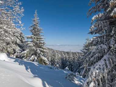 Bulgaristan 'ın Sofya Şehir Bölgesi, Vitosha Dağı' nın İnanılmaz Kış manzarası