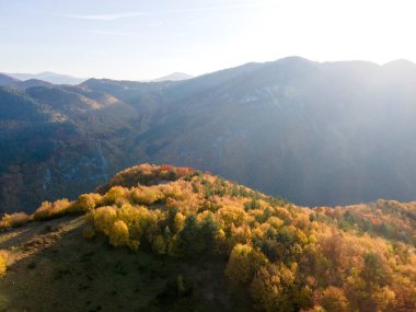 Bulgaristan 'ın Filibe Bölgesi Borovo kasabası yakınlarındaki Rodop dağının şaşırtıcı sonbahar manzarası