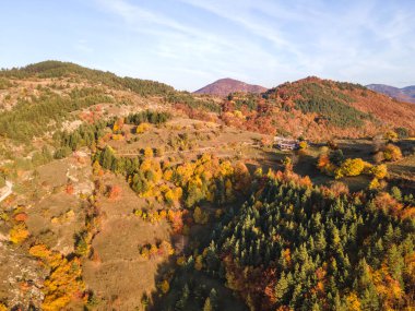 Amazing Aerial Autumn view of Rhodope mountain near village of Borovo, Plovdiv Region, Bulgaria clipart