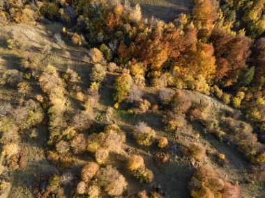 Amazing Aerial Autumn view of Rhodope mountain near village of Borovo, Plovdiv Region, Bulgaria clipart