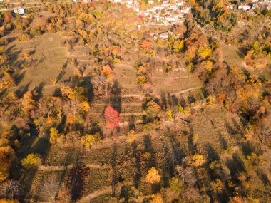 Amazing Aerial Autumn view of Rhodope mountain near village of Borovo, Plovdiv Region, Bulgaria clipart