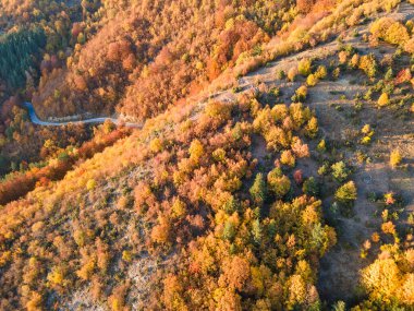 Amazing Aerial Autumn view of Rhodope mountain near village of Borovo, Plovdiv Region, Bulgaria clipart