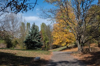 Bulgaristan 'ın Sofya kentindeki South Park' ın Muhteşem Sonbahar Manzarası