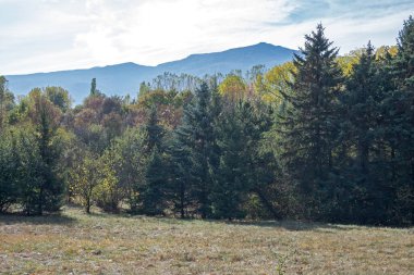 Bulgaristan 'ın Sofya kentindeki South Park' ın Muhteşem Sonbahar Manzarası