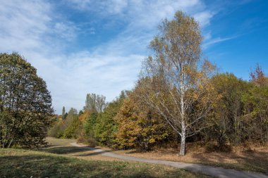 Bulgaristan 'ın Sofya kentindeki South Park' ın Muhteşem Sonbahar Manzarası