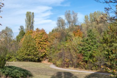 Bulgaristan 'ın Sofya kentindeki South Park' ın Muhteşem Sonbahar Manzarası