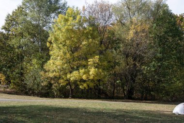 Bulgaristan 'ın Sofya kentindeki South Park' ın Muhteşem Sonbahar Manzarası