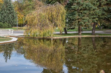 Bulgaristan 'ın Sofya kentindeki South Park' ın Muhteşem Sonbahar Manzarası