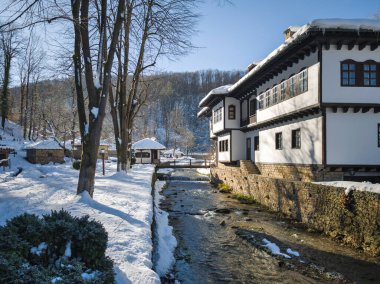 ETAR, GABROVO, BULGARIA - 2 Ocak 2025: Bulgaristan 'ın Gabrovo kenti yakınlarındaki Etara Etnoğrafya Köyü' nün kış manzarası