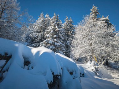 Bulgaristan 'ın Sofya Şehir Bölgesi, Vitosha Dağı' nın İnanılmaz Kış Panoraması
