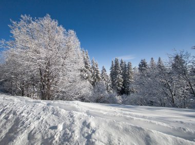 Bulgaristan 'ın Sofya Şehir Bölgesi, Vitosha Dağı' nın İnanılmaz Kış Panoraması
