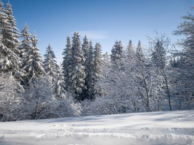 Bulgaristan 'ın Sofya Şehir Bölgesi, Vitosha Dağı' nın İnanılmaz Kış Panoraması