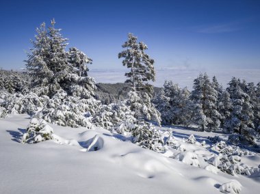 Bulgaristan 'ın Sofya Şehir Bölgesi, Vitosha Dağı' nın İnanılmaz Kış Panoraması