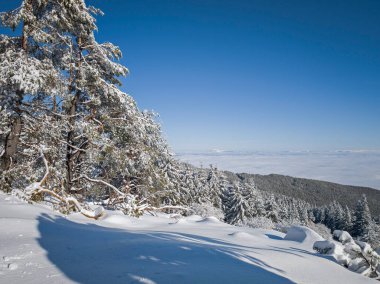 Bulgaristan 'ın Sofya Şehir Bölgesi, Vitosha Dağı' nın İnanılmaz Kış Panoraması