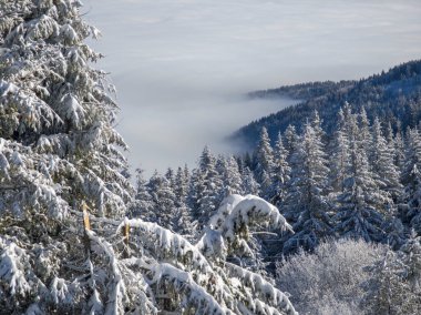 Bulgaristan 'ın Sofya Şehir Bölgesi, Vitosha Dağı' nın İnanılmaz Kış Panoraması