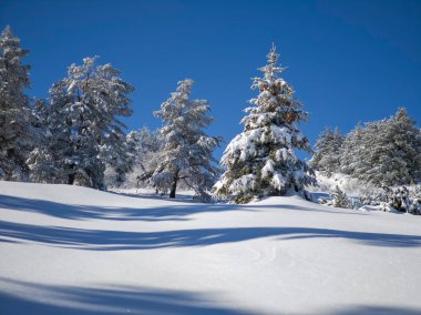 Bulgaristan 'ın Sofya Şehir Bölgesi, Vitosha Dağı' nın İnanılmaz Kış Panoraması