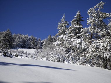 Bulgaristan 'ın Sofya Şehir Bölgesi, Vitosha Dağı' nın İnanılmaz Kış Panoraması