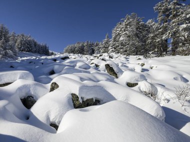 Bulgaristan 'ın Sofya Şehir Bölgesi, Vitosha Dağı' nın İnanılmaz Kış Panoraması
