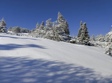 Bulgaristan 'ın Sofya Şehir Bölgesi, Vitosha Dağı' nın İnanılmaz Kış Panoraması