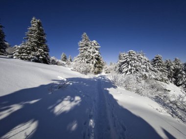 Bulgaristan 'ın Sofya Şehir Bölgesi, Vitosha Dağı' nın İnanılmaz Kış Panoraması