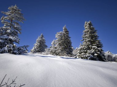 Bulgaristan 'ın Sofya Şehir Bölgesi, Vitosha Dağı' nın İnanılmaz Kış Panoraması