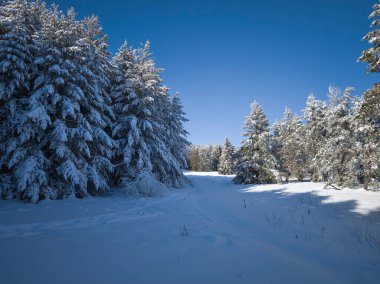 Bulgaristan 'ın Sofya Şehir Bölgesi, Vitosha Dağı' nın İnanılmaz Kış Panoraması
