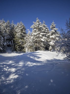 Bulgaristan 'ın Sofya Şehir Bölgesi, Vitosha Dağı' nın İnanılmaz Kış Panoraması