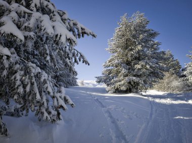 Bulgaristan 'ın Sofya Şehir Bölgesi, Vitosha Dağı' nın İnanılmaz Kış Panoraması
