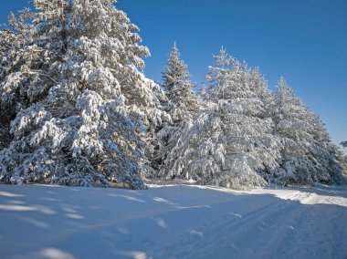 Bulgaristan 'ın Sofya Şehir Bölgesi, Vitosha Dağı' nın İnanılmaz Kış Panoraması