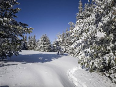 Bulgaristan 'ın Sofya Şehir Bölgesi, Vitosha Dağı' nın İnanılmaz Kış Panoraması