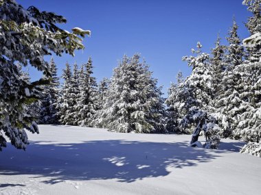 Bulgaristan 'ın Sofya Şehir Bölgesi, Vitosha Dağı' nın İnanılmaz Kış Panoraması