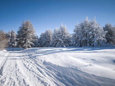 Bulgaristan 'ın Sofya Şehir Bölgesi, Vitosha Dağı' nın İnanılmaz Kış Panoraması