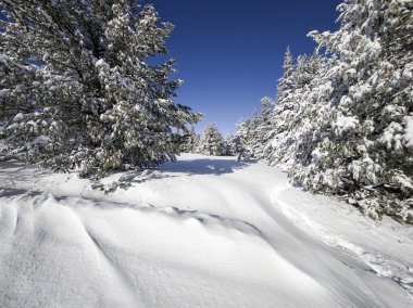 Bulgaristan 'ın Sofya Şehir Bölgesi, Vitosha Dağı' nın İnanılmaz Kış Panoraması
