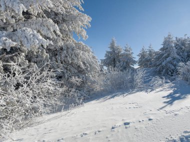 Bulgaristan 'ın Sofya Şehir Bölgesi, Vitosha Dağı' nın İnanılmaz Kış Panoraması