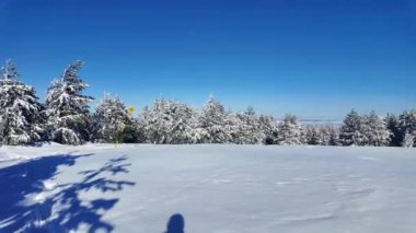 Bulgaristan 'ın Sofya Şehir Bölgesi, Vitosha Dağı' nın İnanılmaz Kış manzarası
