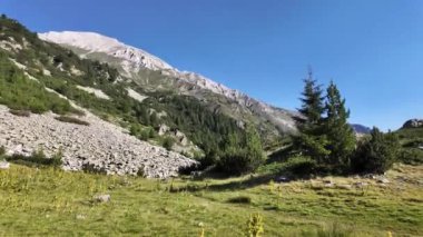 Bulgaristan 'ın Banderitsa bölgesindeki Pirin Dağı' nın şaşırtıcı yaz manzarası