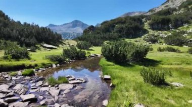 Bulgaristan 'ın Banderitsa bölgesindeki Pirin Dağı' nın şaşırtıcı yaz manzarası