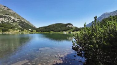 Bulgaristan 'ın Banderitsa bölgesindeki Pirin Dağı' nın şaşırtıcı yaz manzarası