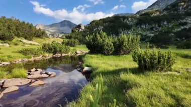 Bulgaristan 'ın Banderitsa bölgesindeki Pirin Dağı' nın şaşırtıcı yaz manzarası