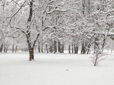 Bulgaristan 'ın Sofya kentindeki South Park' ın şaşırtıcı kış manzarası