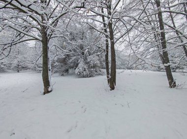 Bulgaristan 'ın Sofya kentindeki South Park' ın şaşırtıcı kış manzarası