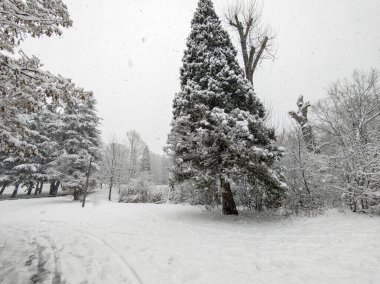 Bulgaristan 'ın Sofya kentindeki South Park' ın şaşırtıcı kış manzarası